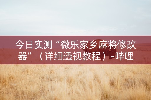 今日实测“微乐家乡麻将修改器”（详细透视教程）-哔哩哔哩