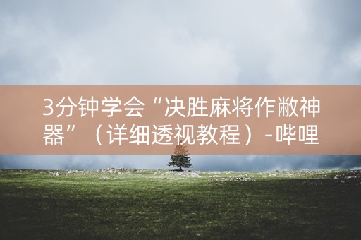 3分钟学会“决胜麻将作敝神器”（详细透视教程）-哔哩哔哩
