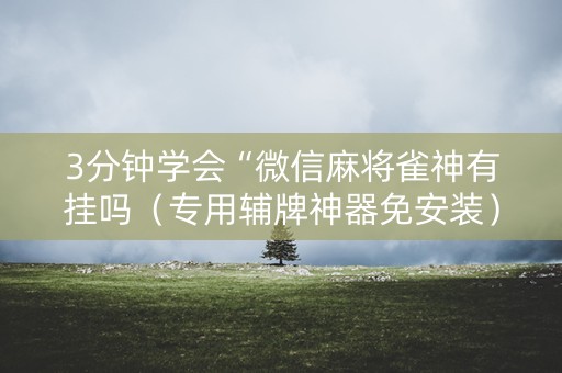 3分钟学会“微信麻将雀神有挂吗（专用辅牌神器免安装）
