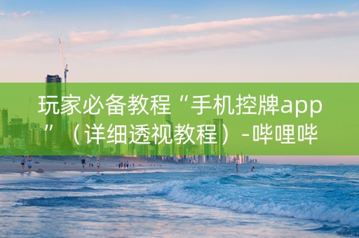 玩家必备教程“手机控牌app”（详细透视教程）-哔哩哔哩
