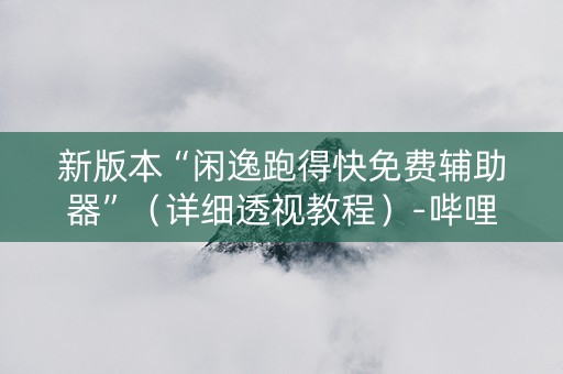 新版本“闲逸跑得快免费辅助器”（详细透视教程）-哔哩哔哩