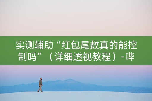 实测辅助“红包尾数真的能控制吗”（详细透视教程）-哔哩哔哩