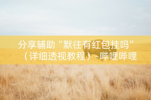 分享辅助“默往有红包挂吗”（详细透视教程）-哔哩哔哩