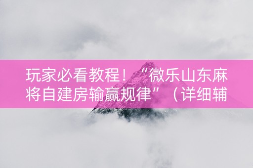 玩家必看教程！“微乐山东麻将自建房输赢规律”（详细辅助教程）-哔哩哔哩