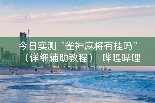 今日实测“雀神麻将有挂吗”（详细辅助教程）-哔哩哔哩