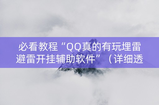 必看教程“QQ真的有玩埋雷避雷开挂辅助软件”（详细透视教程）-哔哩哔哩