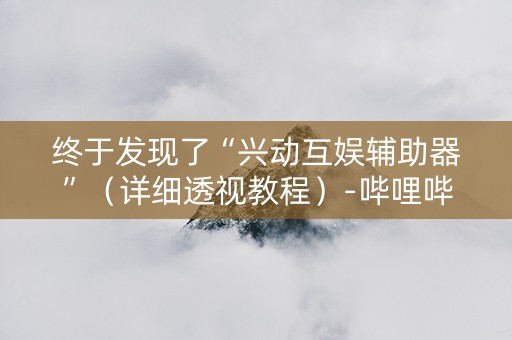 终于发现了“兴动互娱辅助器”（详细透视教程）-哔哩哔哩