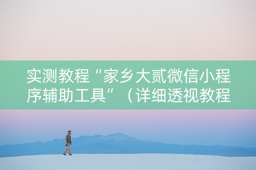 实测教程“家乡大贰微信小程序辅助工具”（详细透视教程）-哔哩哔哩