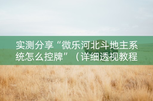 实测分享“微乐河北斗地主系统怎么控牌”（详细透视教程）-哔哩哔哩