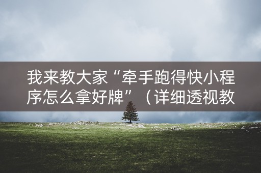 我来教大家“牵手跑得快小程序怎么拿好牌”（详细透视教程）-哔哩哔哩