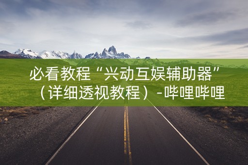 必看教程“兴动互娱辅助器”（详细透视教程）-哔哩哔哩