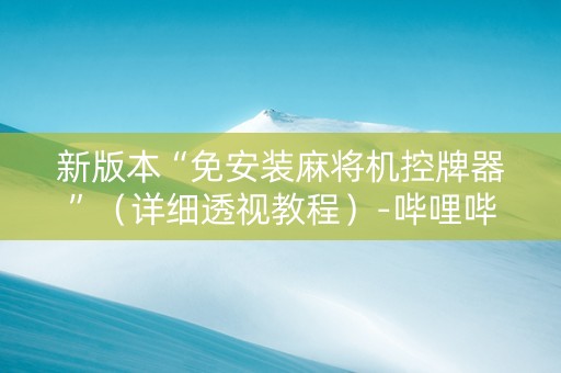新版本“免安装麻将机控牌器”（详细透视教程）-哔哩哔哩
