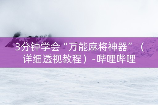 3分钟学会“万能麻将神器”（详细透视教程）-哔哩哔哩