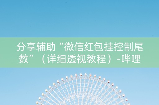 分享辅助“微信红包挂控制尾数”（详细透视教程）-哔哩哔哩