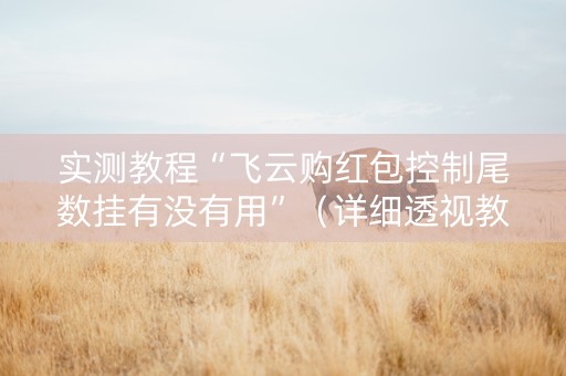 实测教程“飞云购红包控制尾数挂有没有用”（详细透视教程）-哔哩哔哩