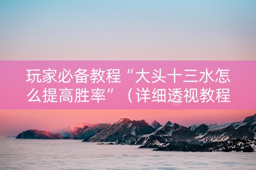 玩家必备教程“大头十三水怎么提高胜率”（详细透视教程）-哔哩哔哩