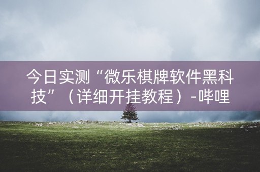 今日实测“微乐棋牌软件黑科技”（详细开挂教程）-哔哩哔哩