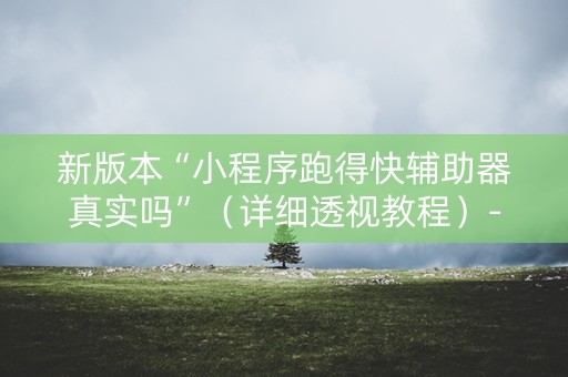 新版本“小程序跑得快辅助器真实吗”（详细透视教程）-哔哩哔哩