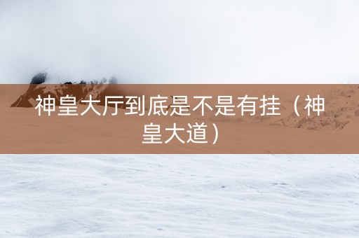 神皇大厅到底是不是有挂（神皇大道）