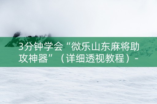 3分钟学会“微乐山东麻将助攻神器”（详细透视教程）-哔哩哔哩