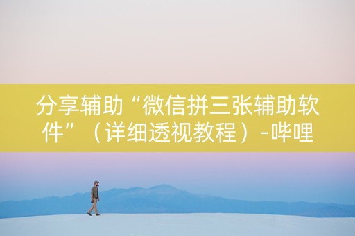 分享辅助“微信拼三张辅助软件”（详细透视教程）-哔哩哔哩