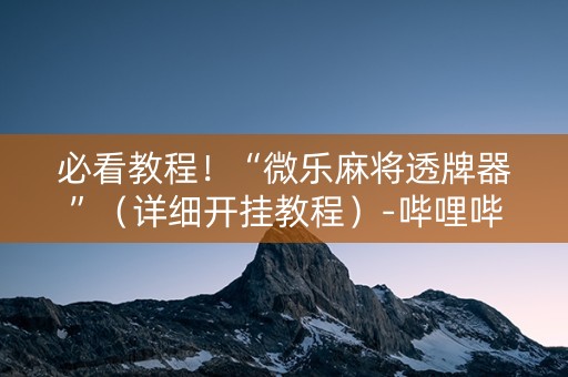 必看教程！“微乐麻将透牌器”（详细开挂教程）-哔哩哔哩
