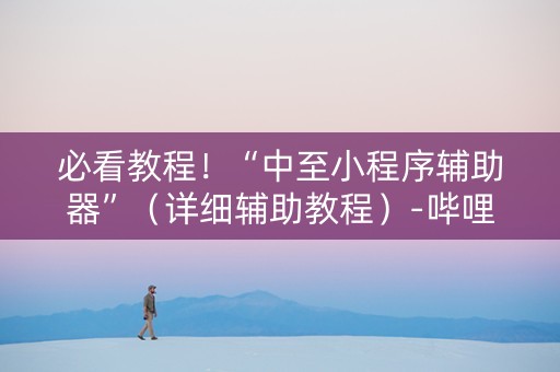 必看教程！“中至小程序辅助器”（详细辅助教程）-哔哩哔哩