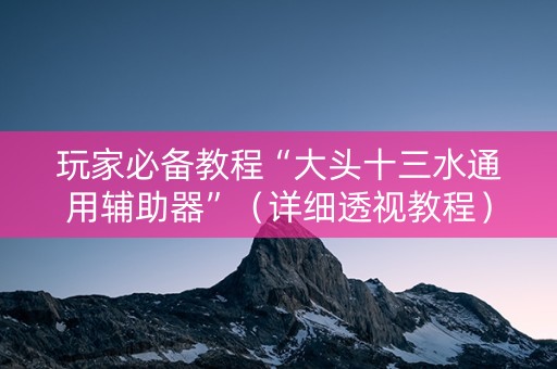 玩家必备教程“大头十三水通用辅助器”（详细透视教程）-哔哩哔哩