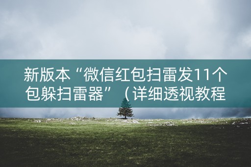 新版本“微信红包扫雷发11个包躲扫雷器”（详细透视教程）-哔哩哔哩