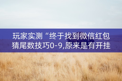 玩家实测“终于找到微信红包猜尾数技巧0-9,原来是有开挂”（详细透视教程）-哔哩哔哩