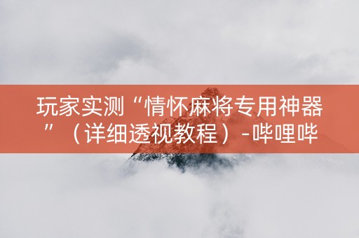 玩家实测“情怀麻将专用神器”（详细透视教程）-哔哩哔哩