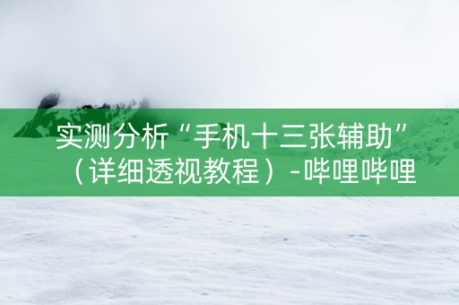 实测分析“手机十三张辅助”（详细透视教程）-哔哩哔哩