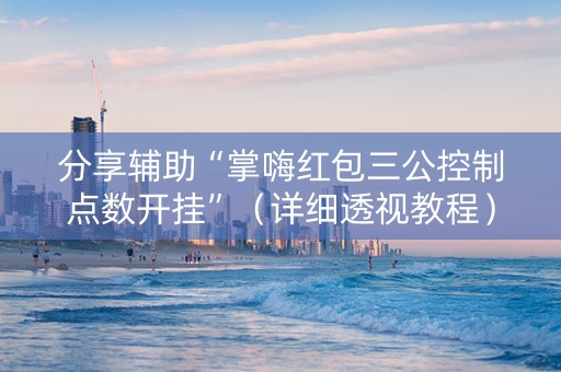 分享辅助“掌嗨红包三公控制点数开挂”（详细透视教程）-哔哩哔哩