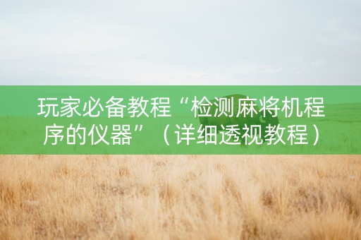 玩家必备教程“检测麻将机程序的仪器”（详细透视教程）-哔哩哔哩