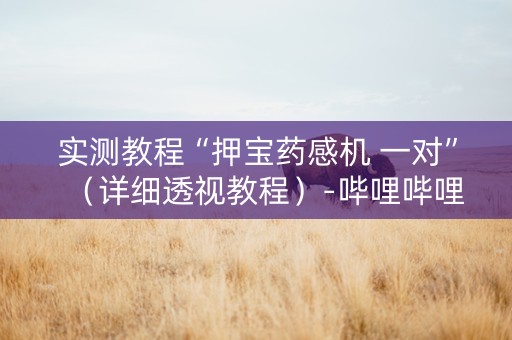 实测教程“押宝药感机 一对”（详细透视教程）-哔哩哔哩