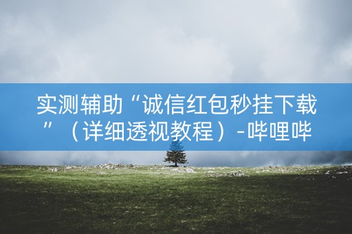 实测辅助“诚信红包秒挂下载”（详细透视教程）-哔哩哔哩