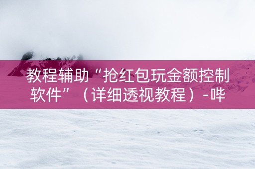 教程辅助“抢红包玩金额控制软件”（详细透视教程）-哔哩哔哩