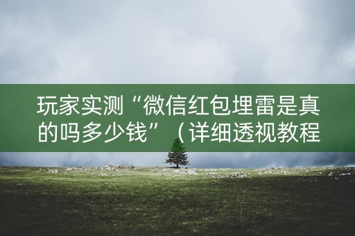 玩家实测“微信红包埋雷是真的吗多少钱”（详细透视教程）-哔哩哔哩