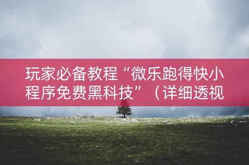 玩家必备教程“微乐跑得快小程序免费黑科技”（详细透视教程）-哔哩哔哩