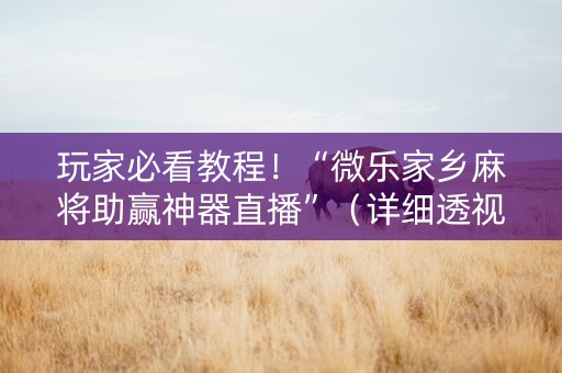 玩家必看教程！“微乐家乡麻将助赢神器直播”（详细透视教程）-哔哩哔哩