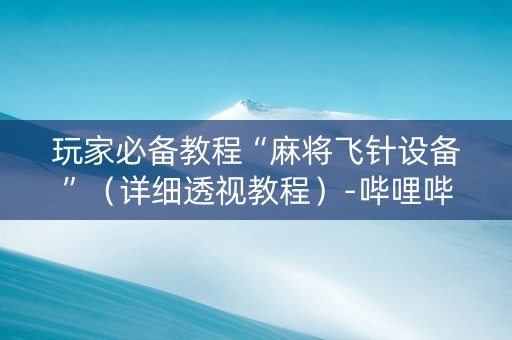 玩家必备教程“麻将飞针设备”（详细透视教程）-哔哩哔哩