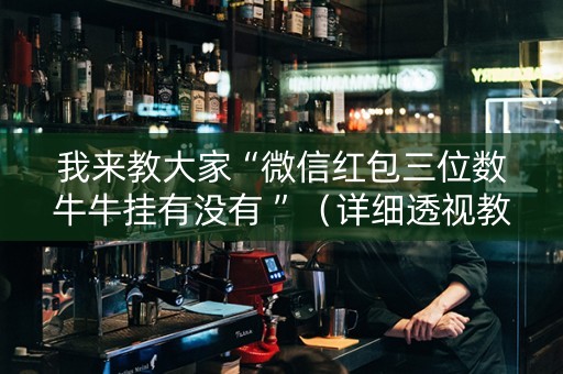 我来教大家“微信红包三位数牛牛挂有没有 ”（详细透视教程）-哔哩哔哩