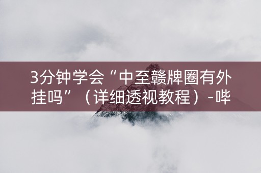 3分钟学会“中至赣牌圈有外挂吗”（详细透视教程）-哔哩哔哩