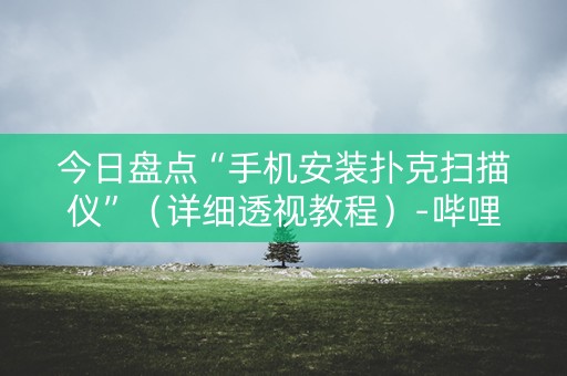 今日盘点“手机安装扑克扫描仪”（详细透视教程）-哔哩哔哩