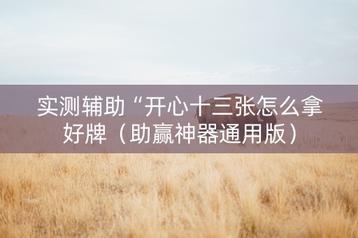 实测辅助“开心十三张怎么拿好牌（助赢神器通用版）