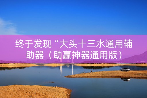 终于发现“大头十三水通用辅助器（助赢神器通用版）
