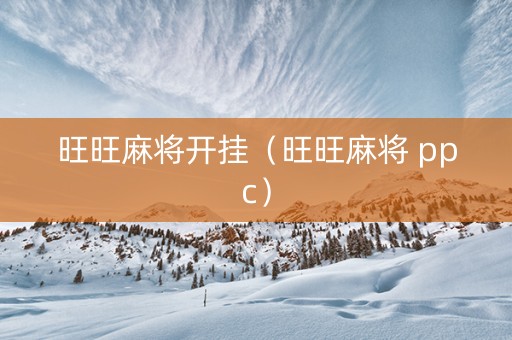 旺旺麻将开挂（旺旺麻将 ppc）