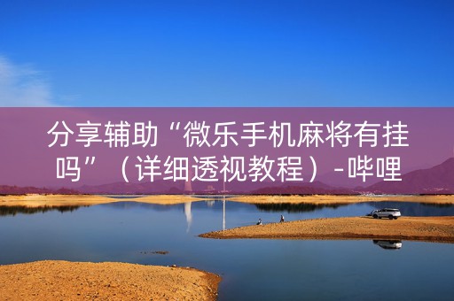 分享辅助“微乐手机麻将有挂吗”（详细透视教程）-哔哩哔哩