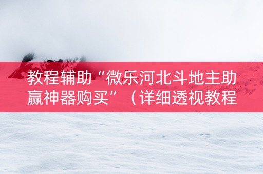 教程辅助“微乐河北斗地主助赢神器购买”（详细透视教程）-哔哩哔哩