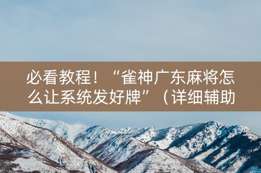 必看教程！“雀神广东麻将怎么让系统发好牌”（详细辅助教程）-哔哩哔哩